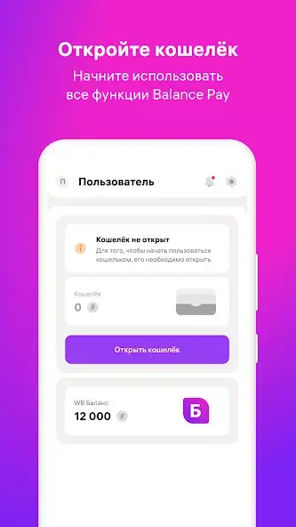 Balance Pay скриншот 1