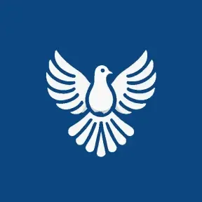 ByeByeDPI APK