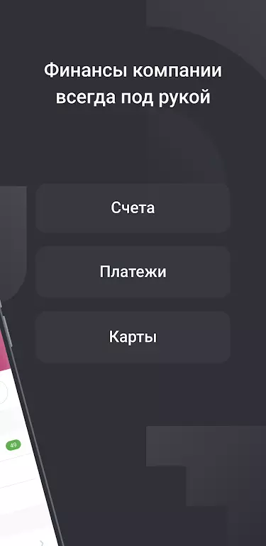Faktura.ru Business - интернет-банк скриншот 2