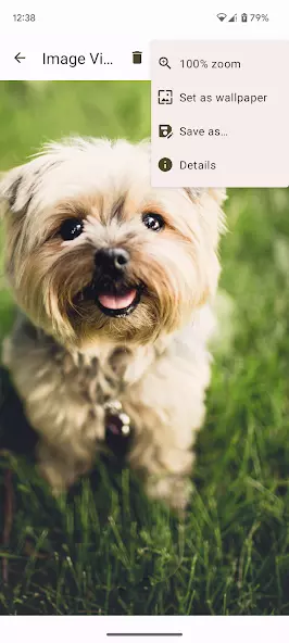 Image Viewer скриншот 3