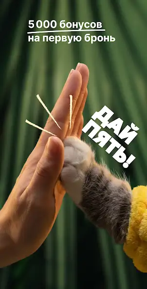 Суточно.ру скриншот 1