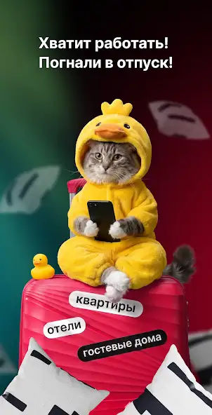 Суточно.ру скриншот 2